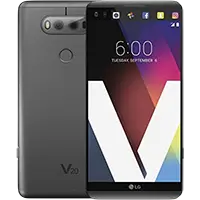 V20